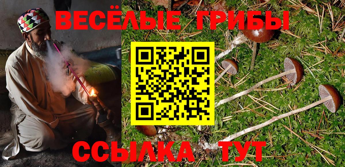 Галлюциногенные грибы Cubensis Белая Калитва